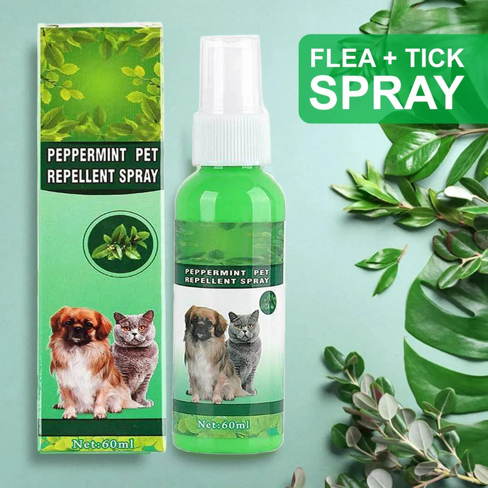 Natural Flea & Tick Spray for Dogs & Cats - 60ml Peppermint Oil Pest Repellent with Eugenol, Fresh Fragrance Topical Care