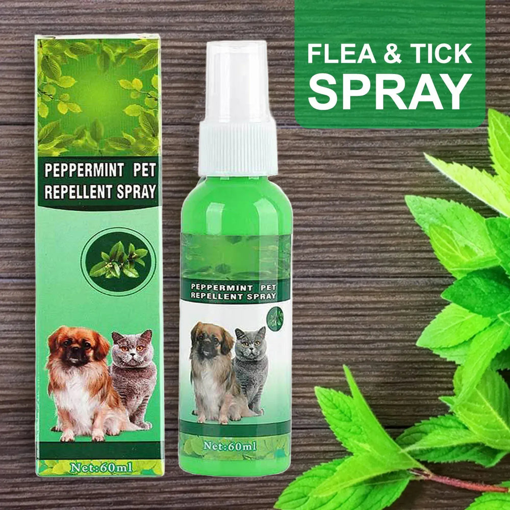 Natural Flea & Tick Spray for Dogs & Cats - 60ml Peppermint Oil Pest Repellent with Eugenol, Fresh Fragrance Topical Care