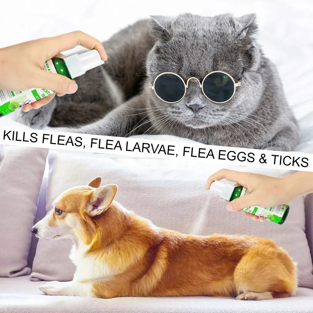 Natural Flea & Tick Spray for Dogs & Cats - 60ml Peppermint Oil Pest Repellent with Eugenol, Fresh Fragrance Topical Care