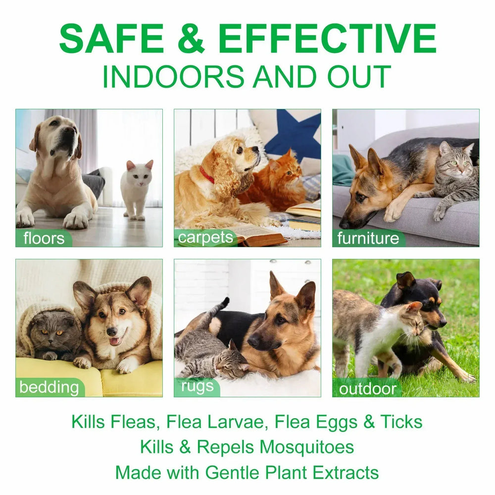 Natural Flea & Tick Spray for Dogs & Cats - 60ml Peppermint Oil Pest Repellent with Eugenol, Fresh Fragrance Topical Care