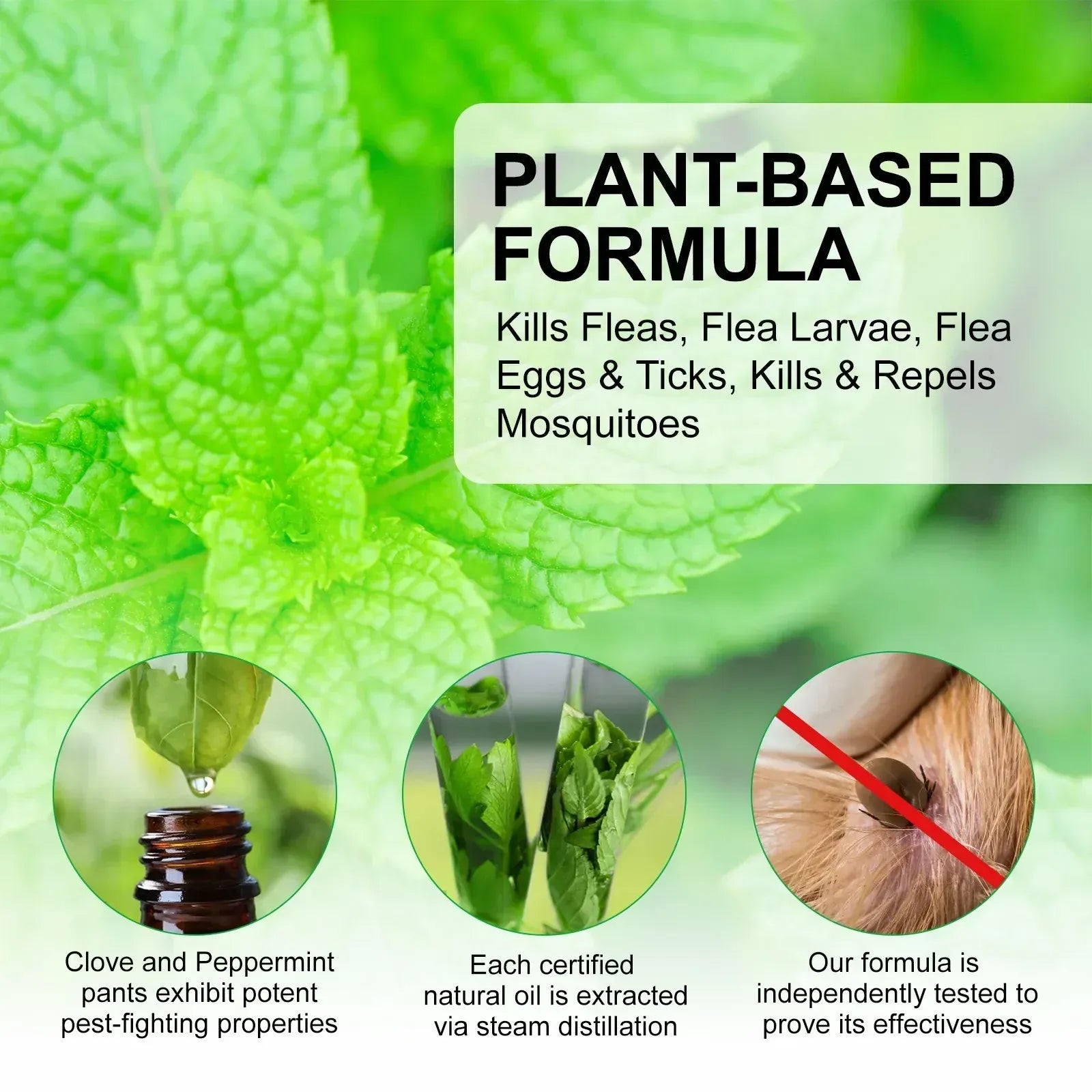 Natural Flea & Tick Spray for Dogs & Cats - 60ml Peppermint Oil Pest Repellent with Eugenol, Fresh Fragrance Topical Care