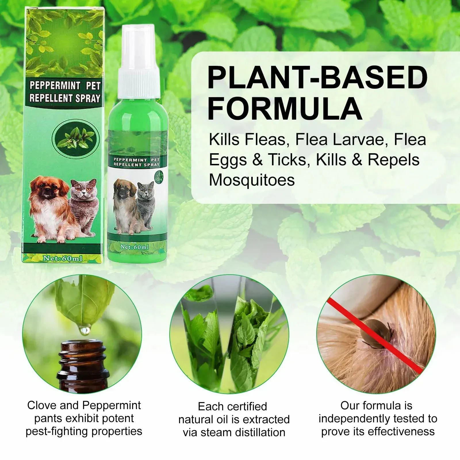Natural Flea & Tick Spray for Dogs & Cats - 60ml Peppermint Oil Pest Repellent with Eugenol, Fresh Fragrance Topical Care
