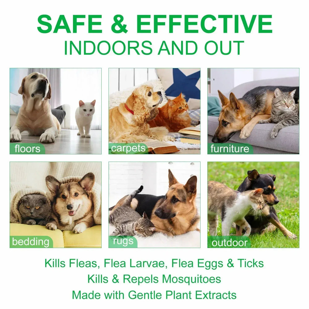 Natural Flea & Tick Spray for Dogs & Cats - 60ml Peppermint Oil Pest Repellent with Eugenol, Fresh Fragrance Topical Care