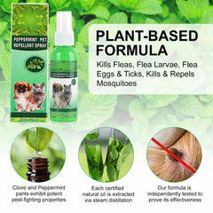Natural Flea & Tick Spray for Dogs & Cats - 60ml Peppermint Oil Pest Repellent with Eugenol, Fresh Fragrance Topical Care