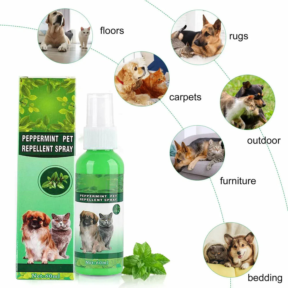 Natural Flea & Tick Spray for Dogs & Cats - 60ml Peppermint Oil Pest Repellent with Eugenol, Fresh Fragrance Topical Care