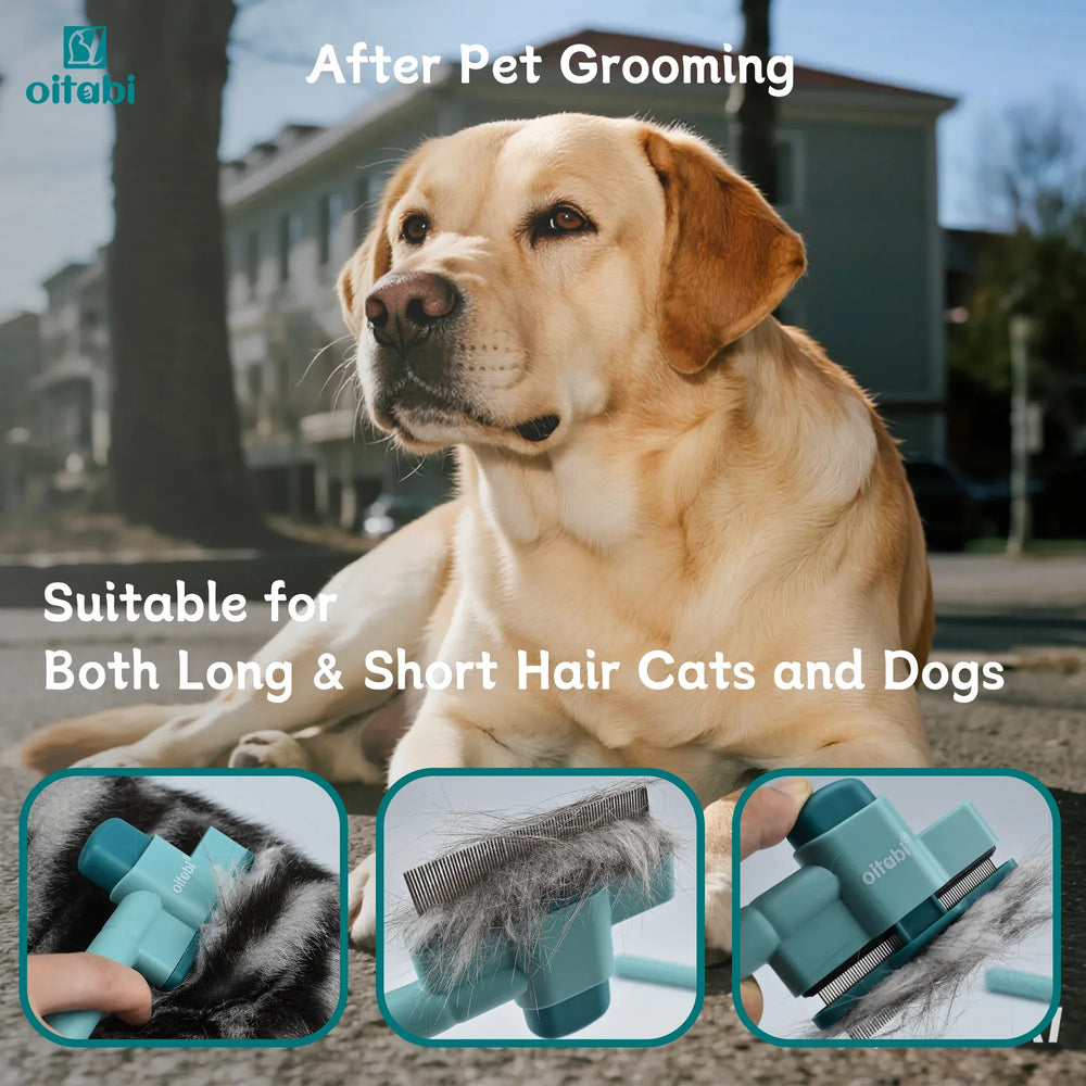 Oitabi Self-Cleaning Flea Comb for Dogs & Cats - Fine Tooth Pet Comb with Release Button, 2-Pack Grooming Tool for Flea Removal & Detangling