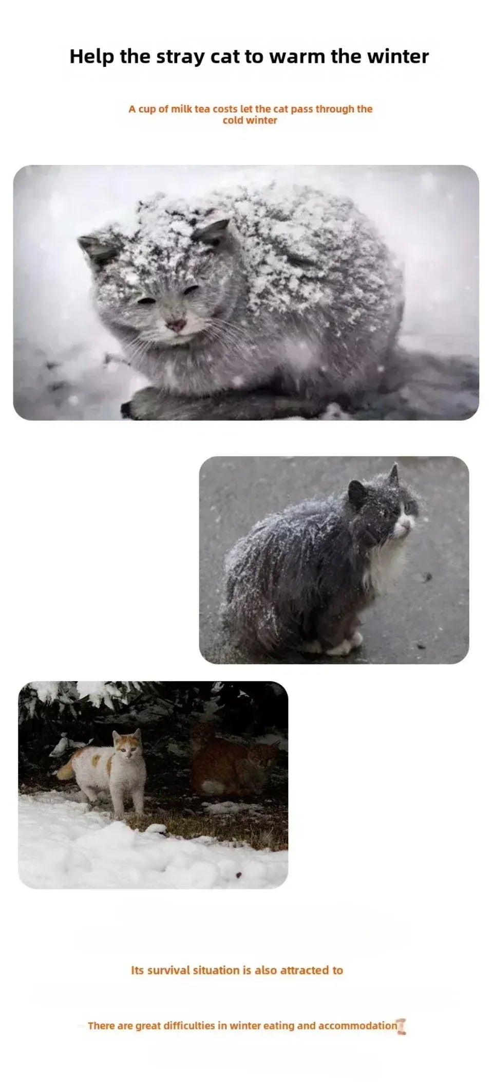 Outdoor Cat House Waterproof - Winter Warm Stray Shelter Weatherproof Pet House