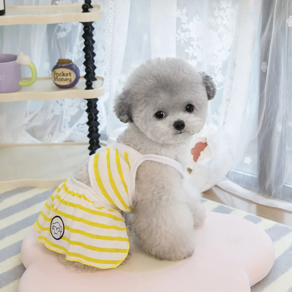 Pet Bikini & Skirt Set – Striped Summer Outfit for Small Dogs & Cats