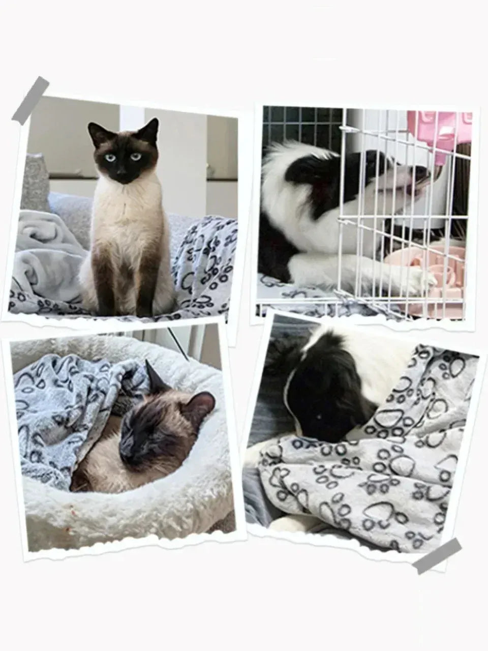 Pet Blanket with Flower Footprints - Warm Machine Washable Cat Dog Mat, Winter Comfort Pad in Multiple Sizes (Gray)