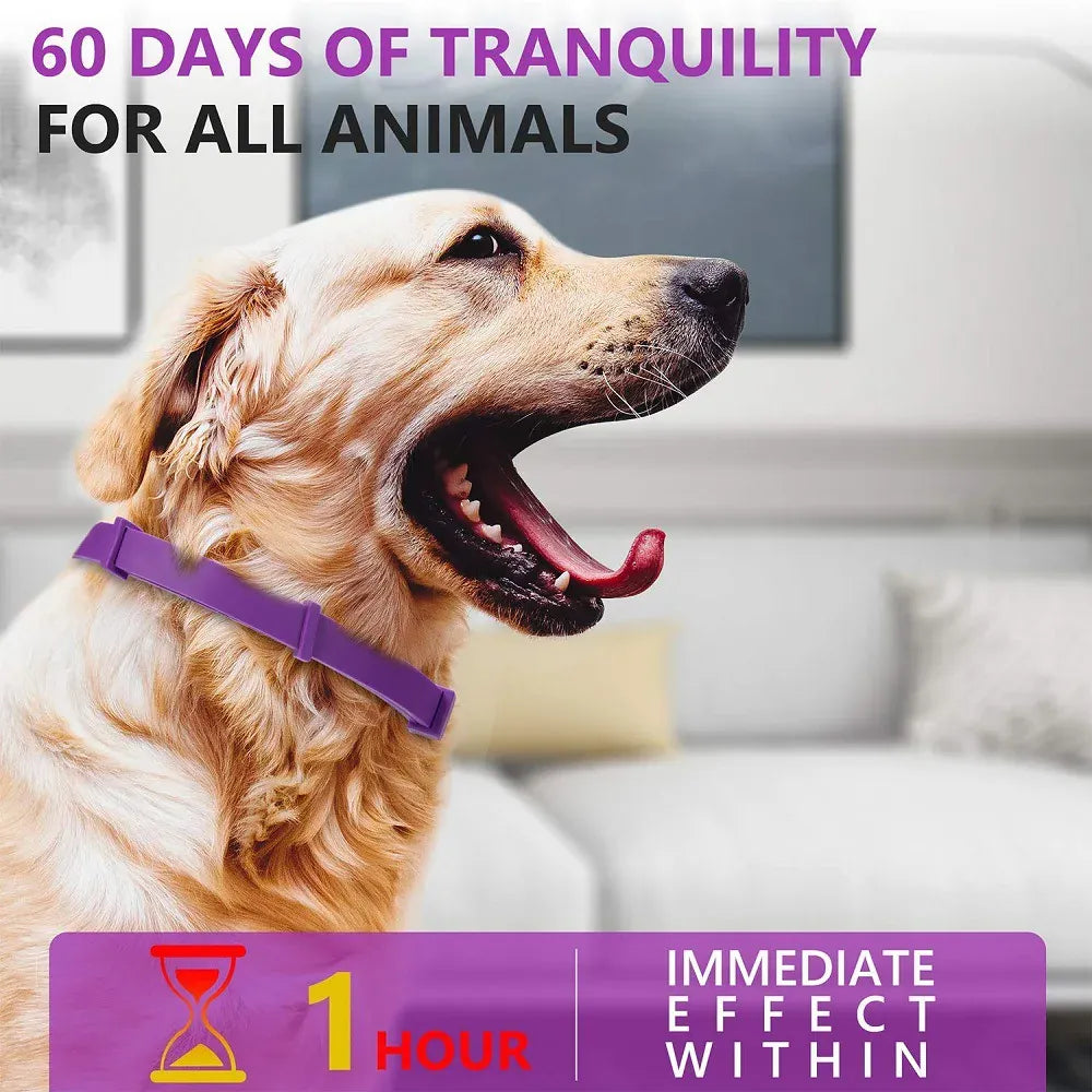 Pet Calming Collar for Cats & Dogs - 2-Month Anxiety Relief with Natural Pheromones, Adjustable Stress Reduction Collar for Thunder, Travel & Separation Anxiety