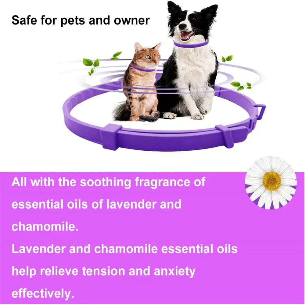 Pet Calming Collar for Cats & Dogs - 2-Month Anxiety Relief with Natural Pheromones, Adjustable Stress Reduction Collar for Thunder, Travel & Separation Anxiety