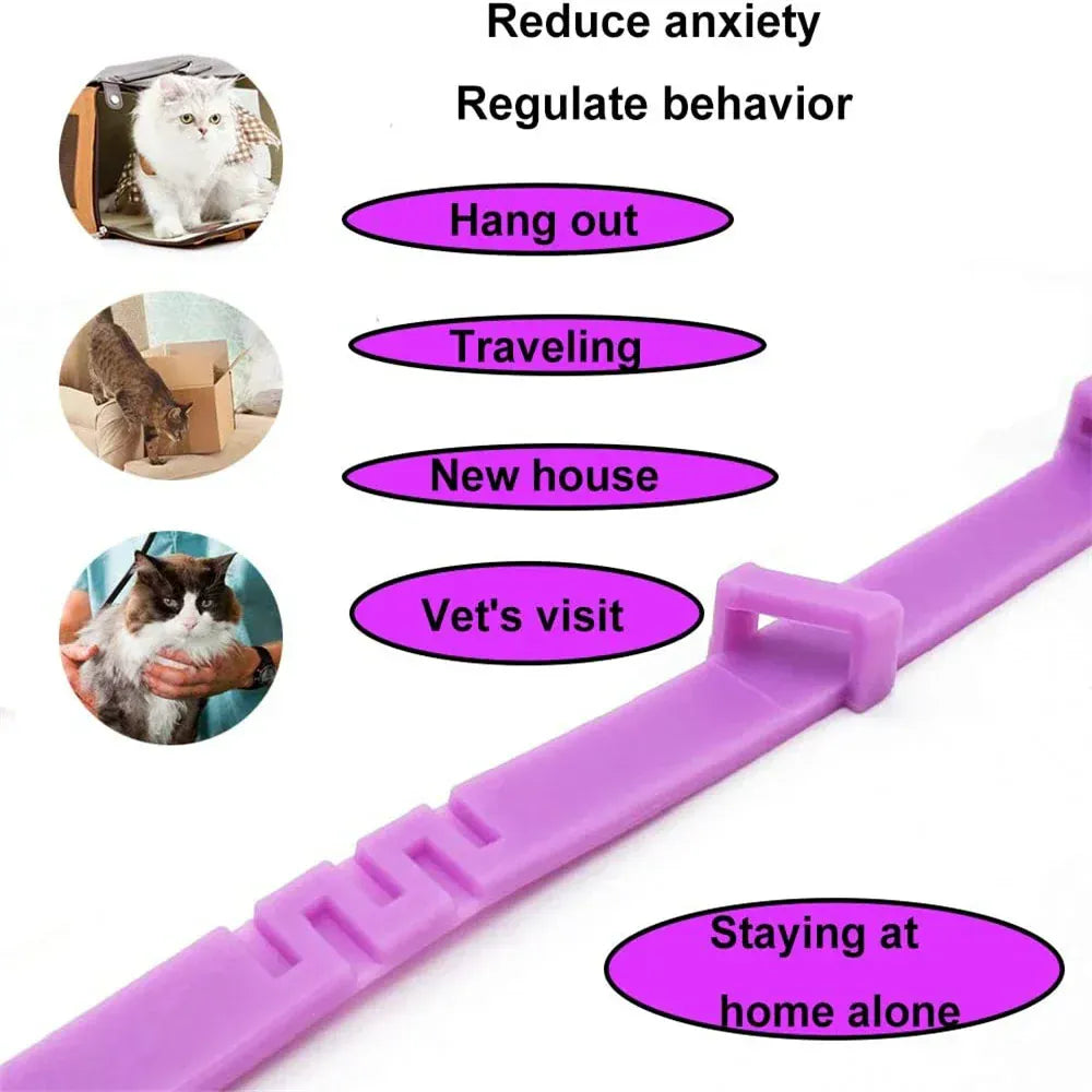 Pet Calming Collar for Cats & Dogs - 2-Month Anxiety Relief with Natural Pheromones, Adjustable Stress Reduction Collar for Thunder, Travel & Separation Anxiety