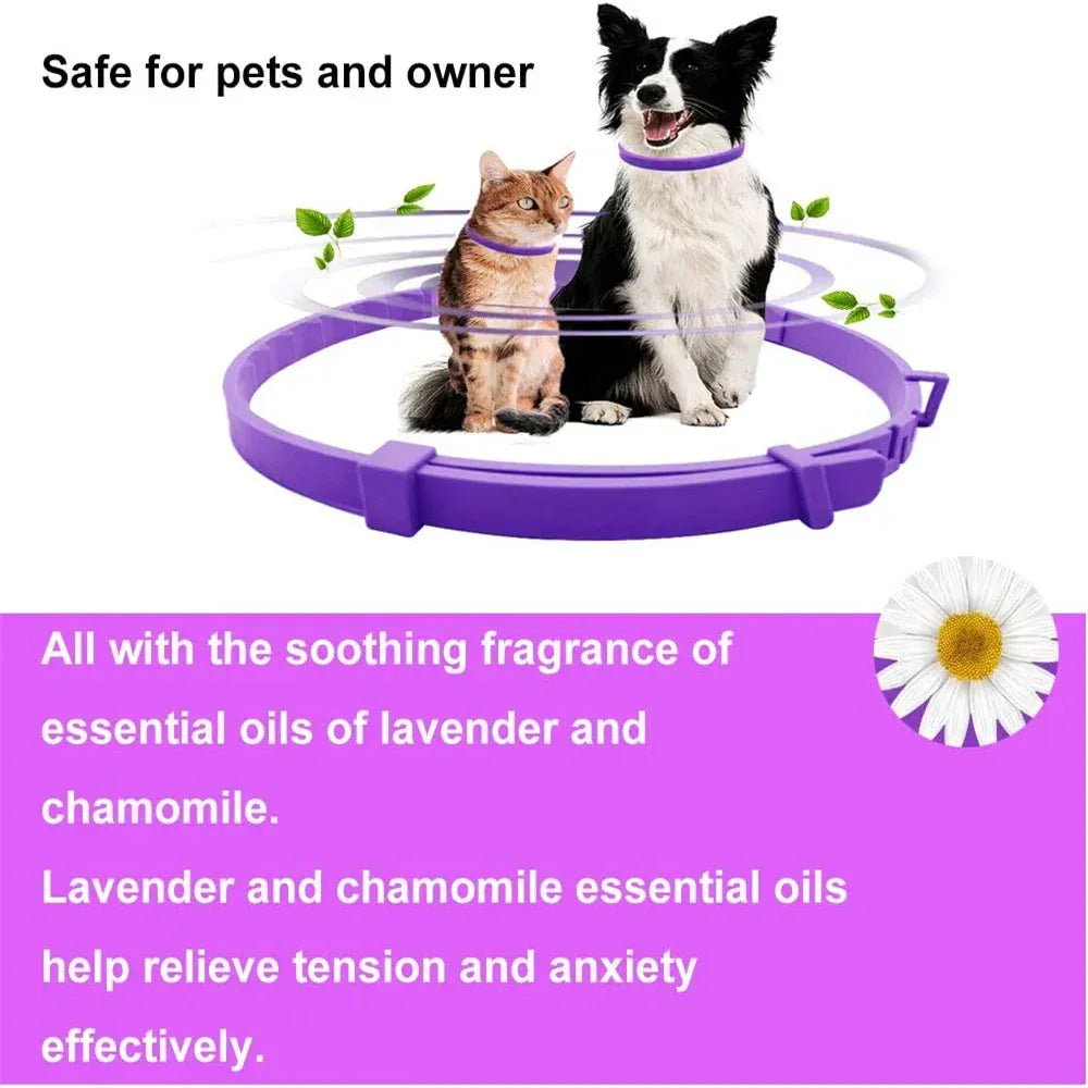 Pet Calming Collar for Cats & Dogs - 2-Month Anxiety Relief with Natural Pheromones, Adjustable Stress Reduction Collar for Thunder, Travel & Separation Anxiety