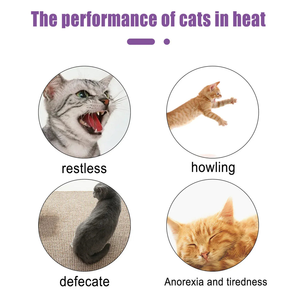 Pet Calming Spray Pet Supplies Pets Pheromone Calming Spray Improve Estrus Agitation Pet Anxiety Relief Spray for Cats Dogs 50ml