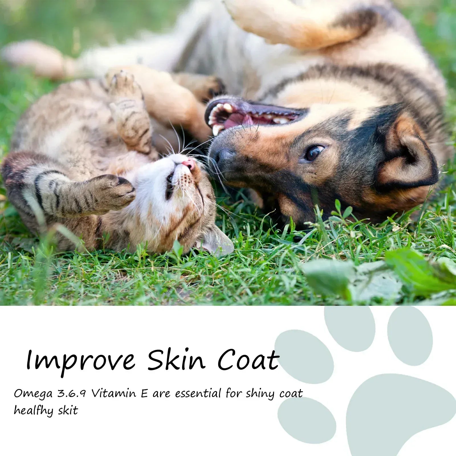 Pet Care Skin Relief Cream for Dogs & Cats | Anti-Itch Soothing Lotion | Dry Skin & Paw Repair Balm | Safe Moisturizer for Pets