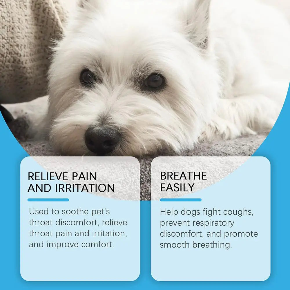 Pet Cough Relief Drops - Herbal Allergy & Immune Supplement for Dogs, Natural Kennel Cough Treatment with Echinacea & Elderberry