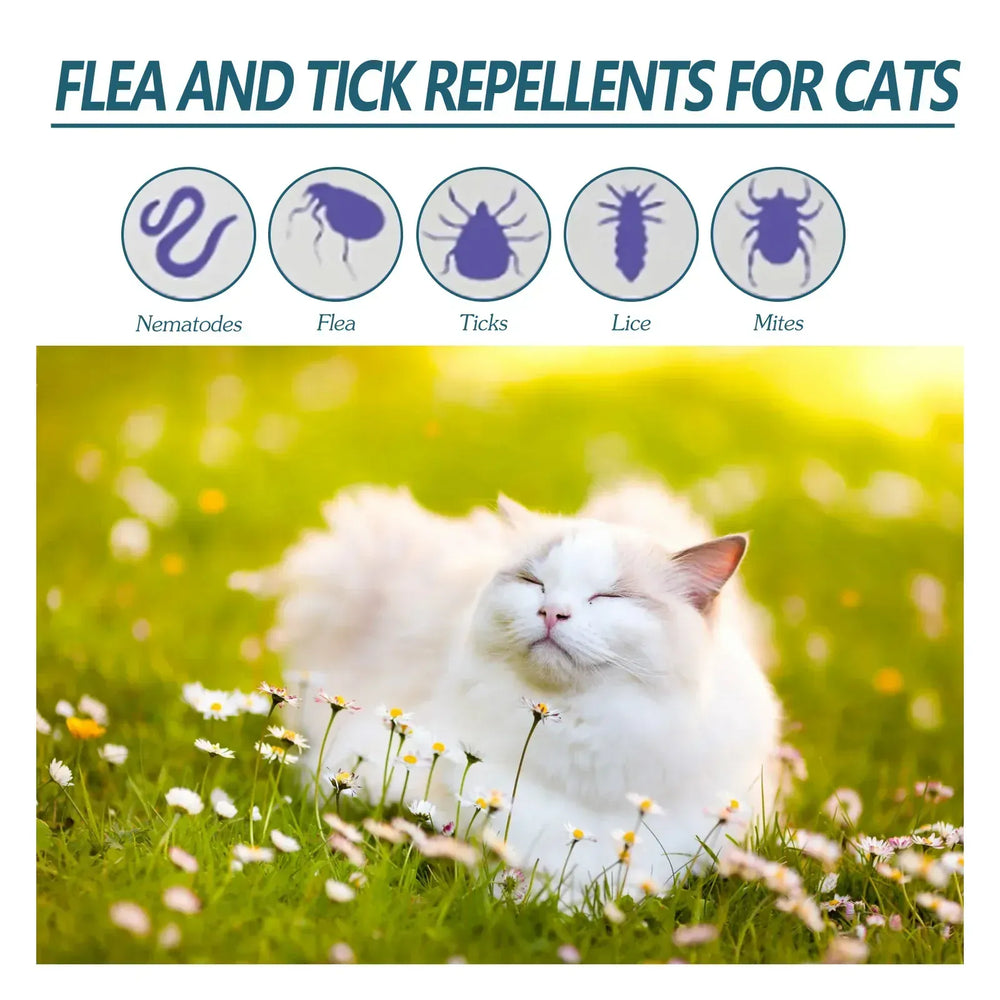 Pet Flea Killer Drops - 50ml Anti-Flea Treatment for Cats & Dogs, Tick Lice Mite Removal with Itching Relief, Ringworm Treatment