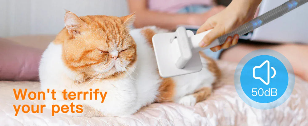 Pet Grooming Vacuum Kit - 12000Pa Dog Hair Vacuum with 5 Tools & 2L Capacity