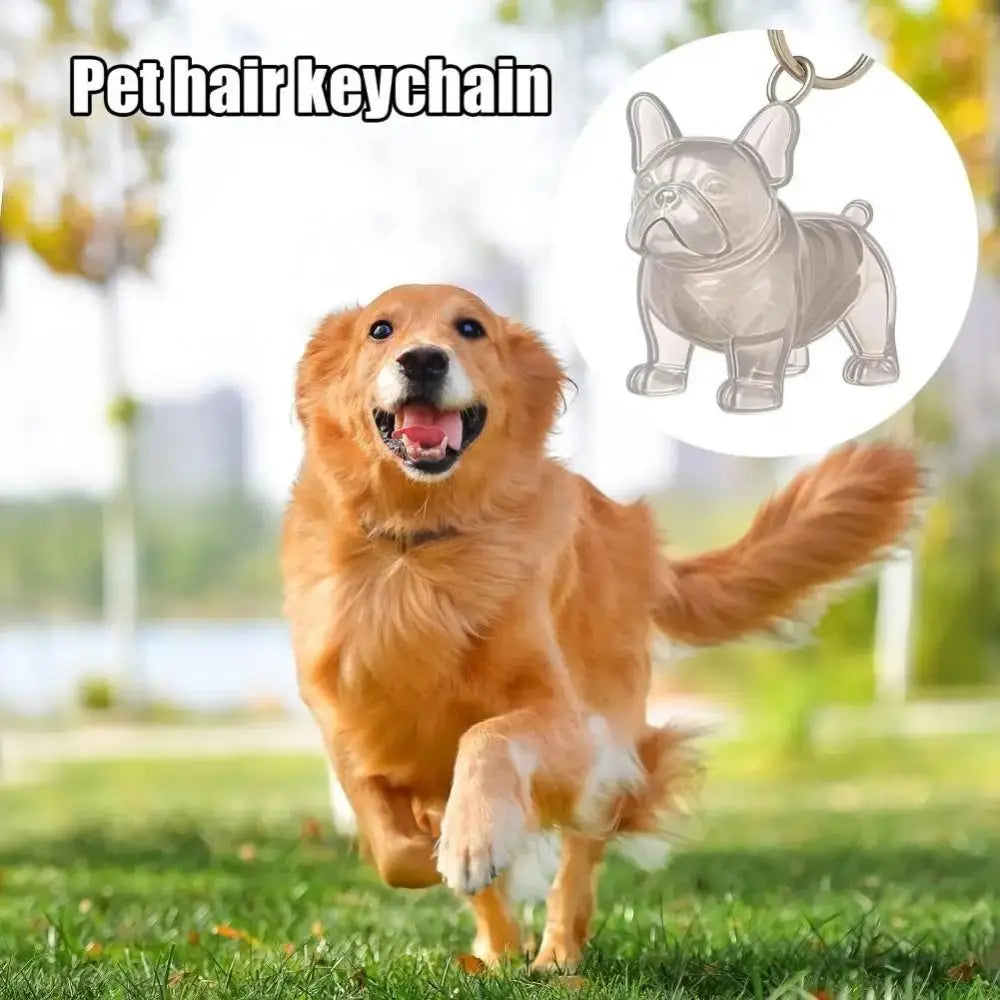 Pet Hair Memorial Keychain - DIY Dog Hair Storage Jewelry Gift