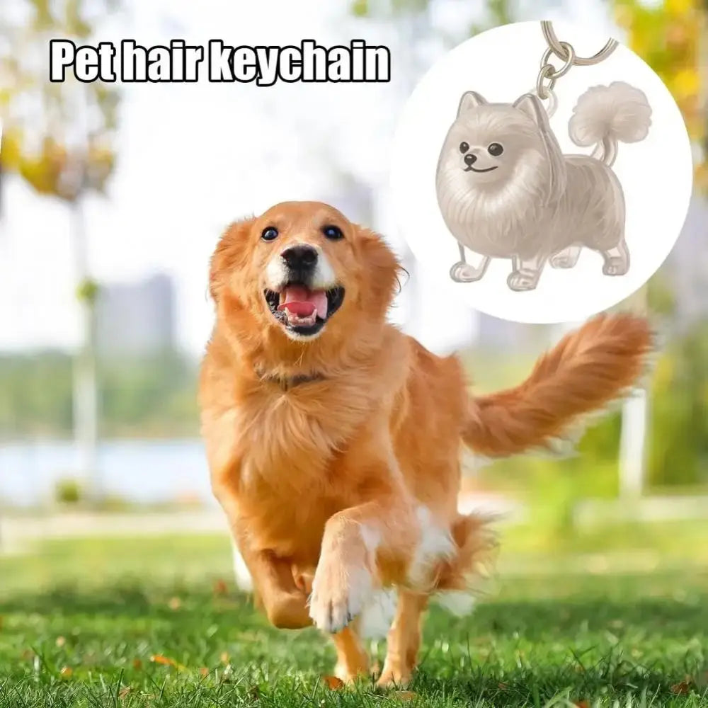 Pet Hair Memorial Keychain - DIY Dog Hair Storage Jewelry Gift