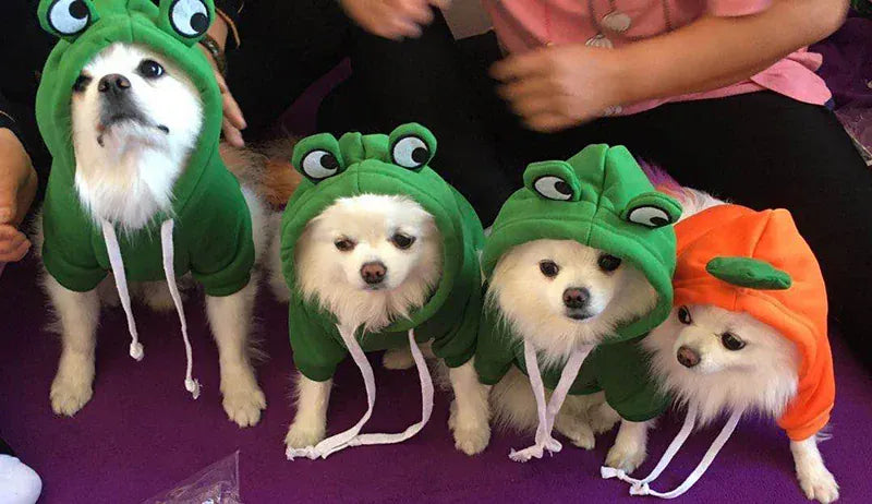 Pet Hoodie Sweater - Winter Pullover with Sports & Animal Designs