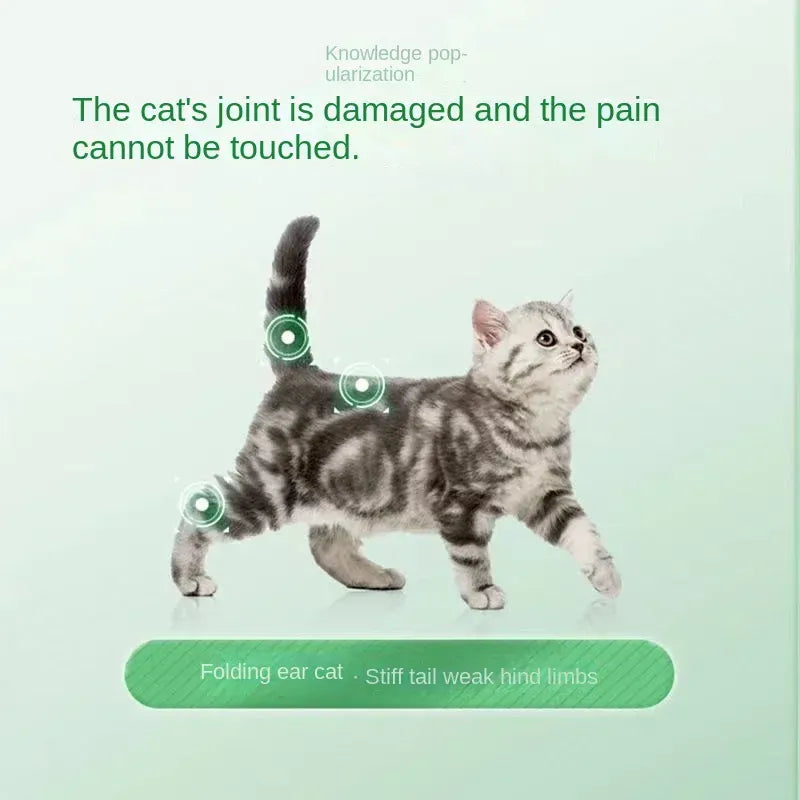 Pet Joint Supplement - Chondroitin Glucosamine Liquid for Dogs & Cats