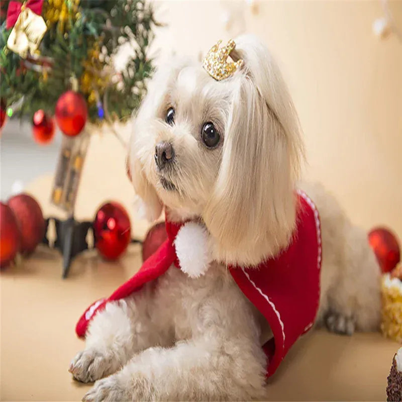Pet Santa Claus Costume | Funny Christmas Outfit for Dogs & Cats | Warm Winter Cotton Clothes