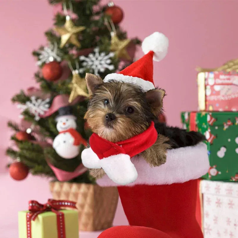 Pet Santa Claus Costume | Funny Christmas Outfit for Dogs & Cats | Warm Winter Cotton Clothes