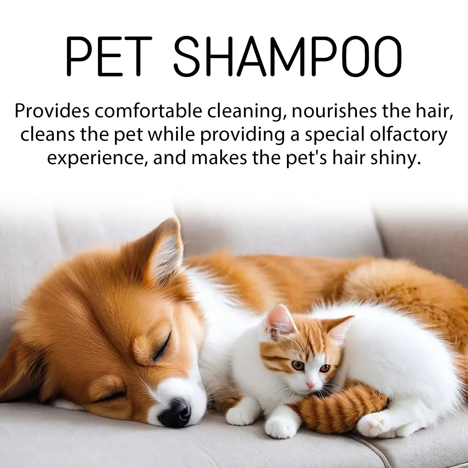 Pet Shampoo for Dogs & Cats - 100ml/300ml Flea Killer & Mite Removal, Deodorizing Itch Relief with Moisturizing Formula, Hair Softening Wash