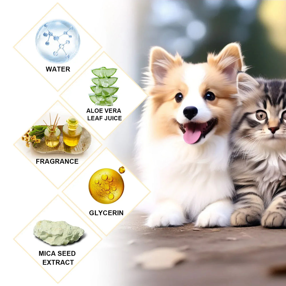 Pet Shampoo for Dogs & Cats - 100ml/300ml Flea Killer & Mite Removal, Deodorizing Itch Relief with Moisturizing Formula, Hair Softening Wash