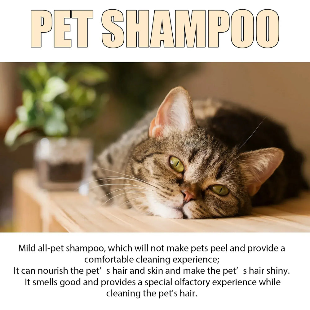 Pet Shampoo for Dogs & Cats - 100ml/300ml Flea Killer & Mite Removal, Deodorizing Itch Relief with Moisturizing Formula, Hair Softening Wash