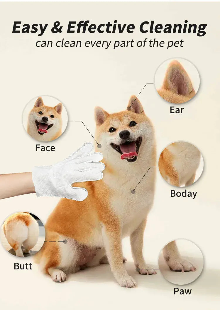 Pet supplies, pet disposable gloves, bathing and cleaning for cats and dogs, dry cleaning, wet wipes, and gloves.