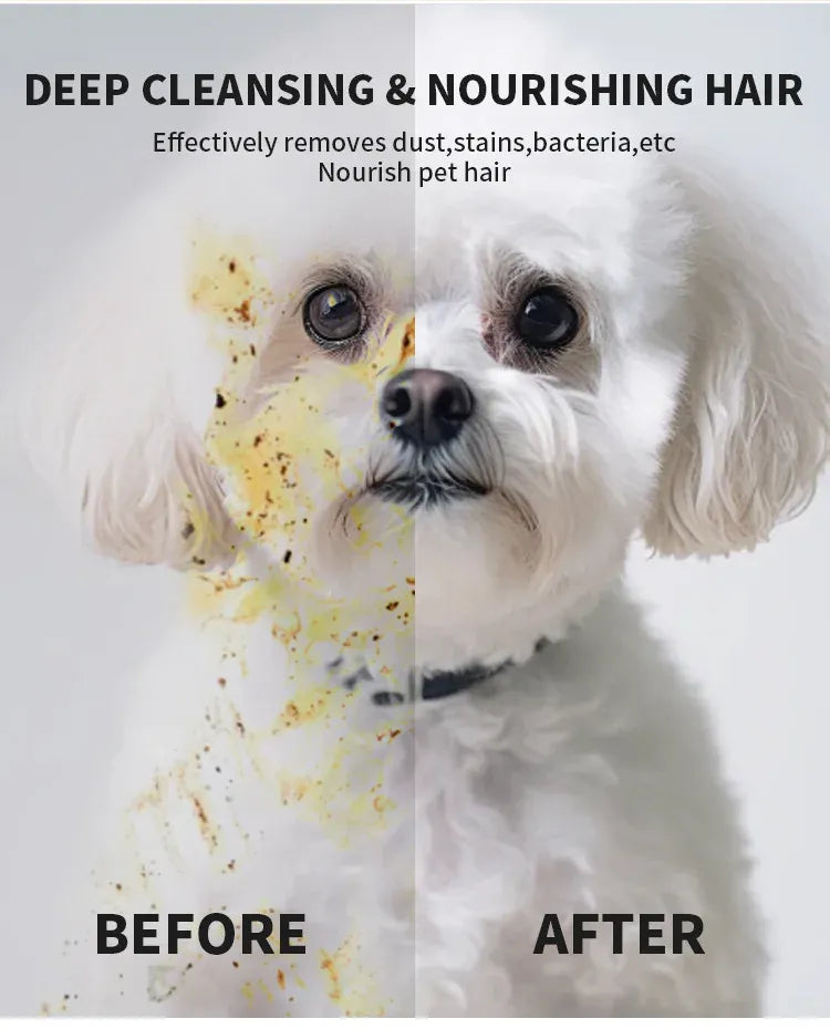 Pet supplies, pet disposable gloves, bathing and cleaning for cats and dogs, dry cleaning, wet wipes, and gloves.