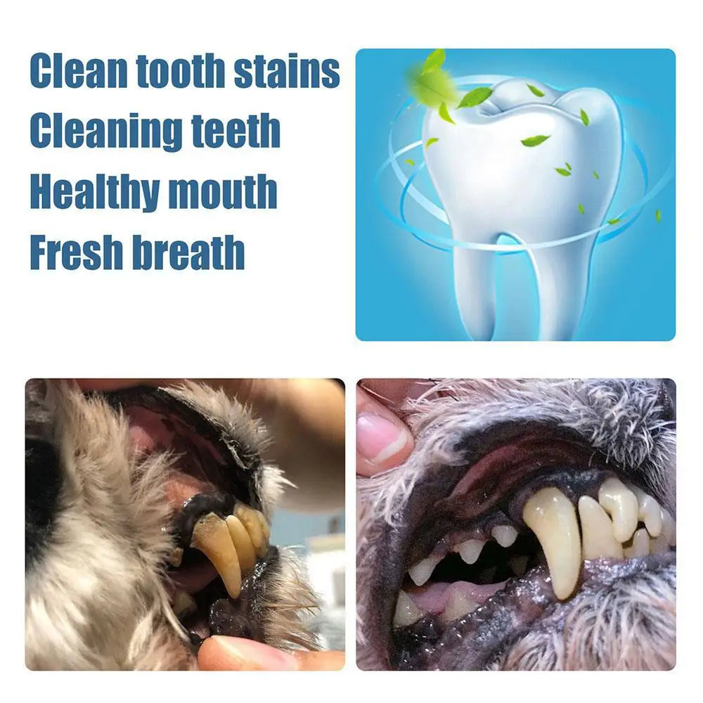 Pet Teeth Cleaning Pen for Dogs & Cats - 2-Pack Dental Care Kit, Tartar Remover & Tooth Whitening Stick, Easy Oral Hygiene Solution for Fresh Breath