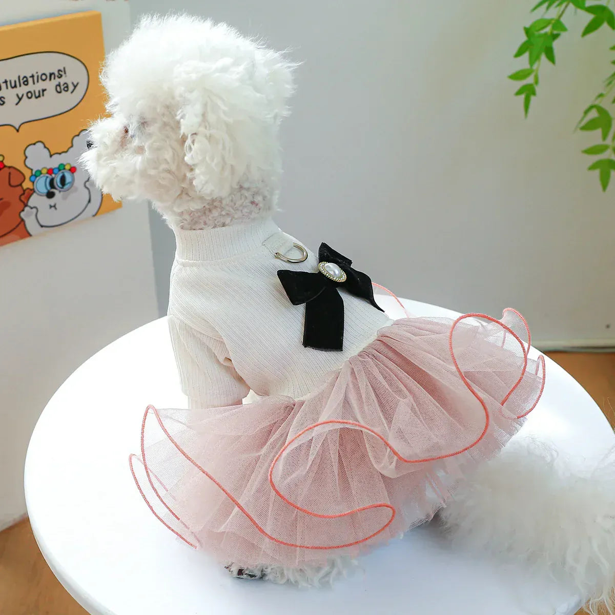 Pet Tutu Princess Dress – Lace Trim Dog & Cat Skirt for Spring Summer Parties