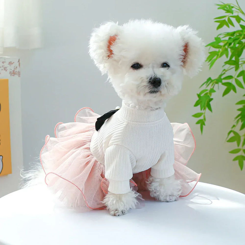 Pet Tutu Princess Dress – Lace Trim Dog & Cat Skirt for Spring Summer Parties