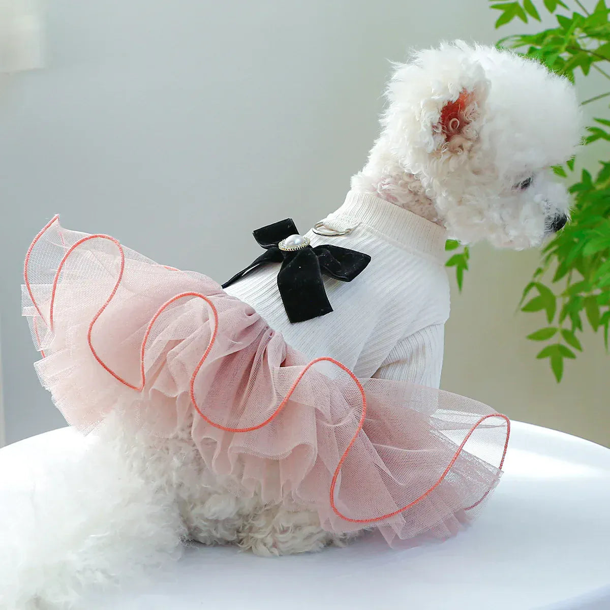 Pet Tutu Princess Dress – Lace Trim Dog & Cat Skirt for Spring Summer Parties