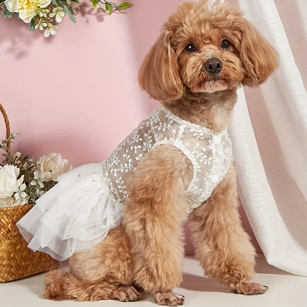 Pet Wedding Dress & Suit – Mesh Summer Outfit for Dog & Cat Wedding Party