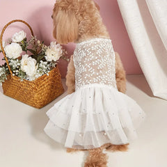 Pet Wedding Dress & Suit – Mesh Summer Outfit for Dog & Cat Wedding Party