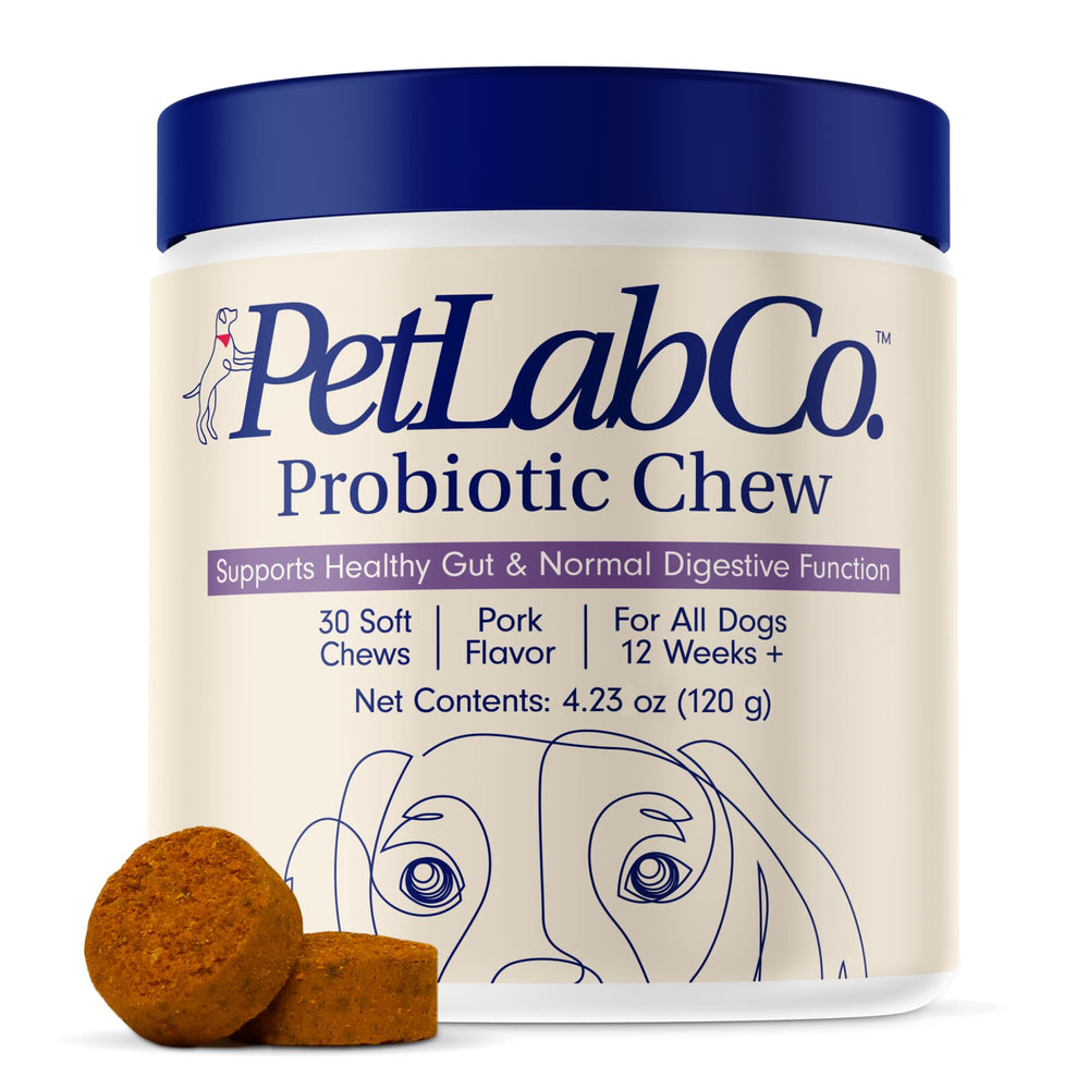 PetLab Co. Probiotics for Dogs – Digestive Health Support with Salmon Flavor, 30 Soft Chews