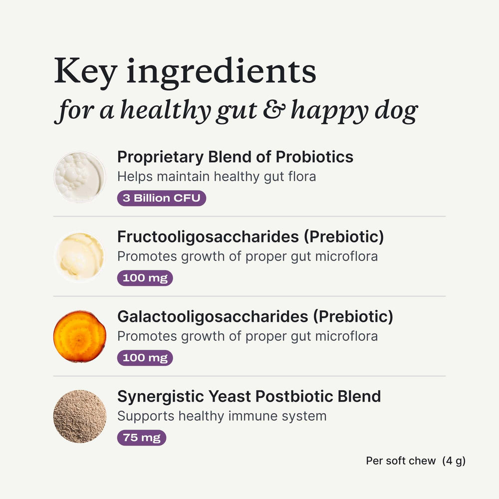PetLab Co. Probiotics for Dogs – Digestive Health Support with Salmon Flavor, 30 Soft Chews