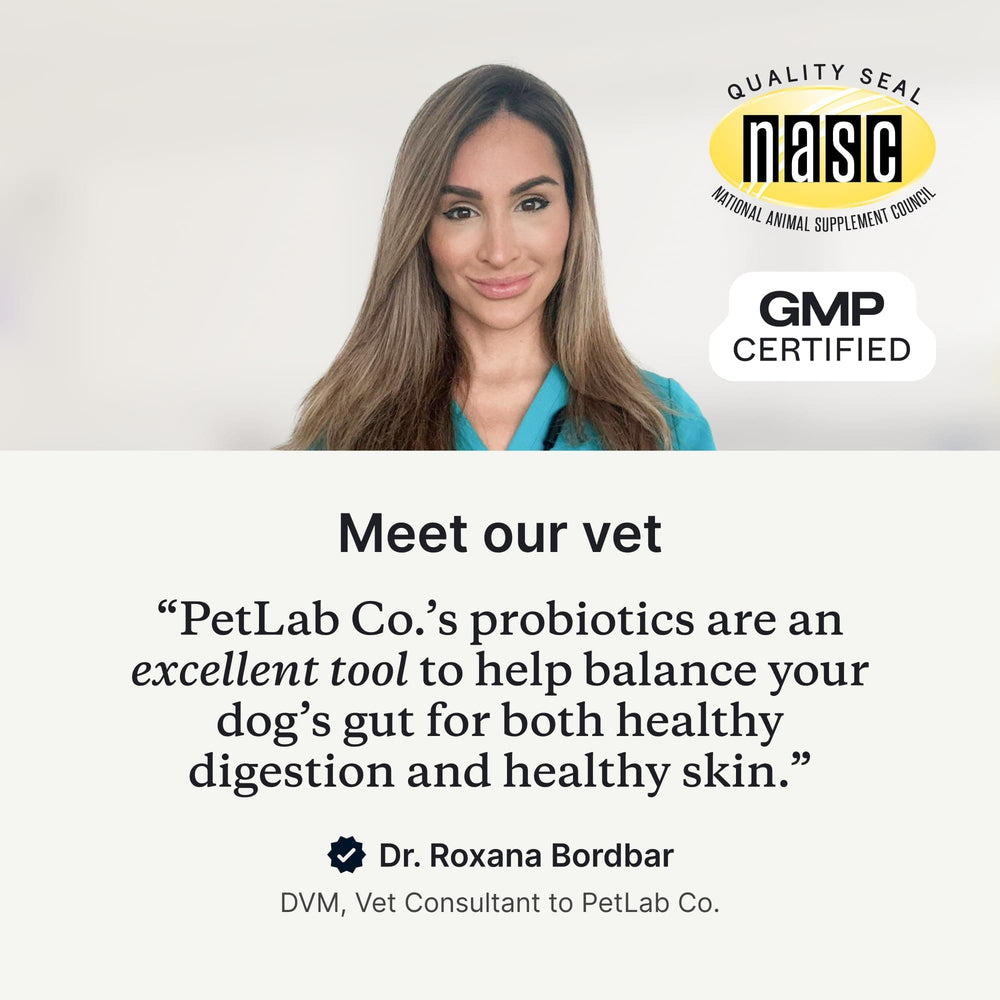 PetLab Co. Probiotics for Dogs – Digestive Health Support with Salmon Flavor, 30 Soft Chews