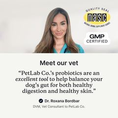 PetLab Co. Probiotics for Dogs – Digestive Health Support with Salmon Flavor, 30 Soft Chews