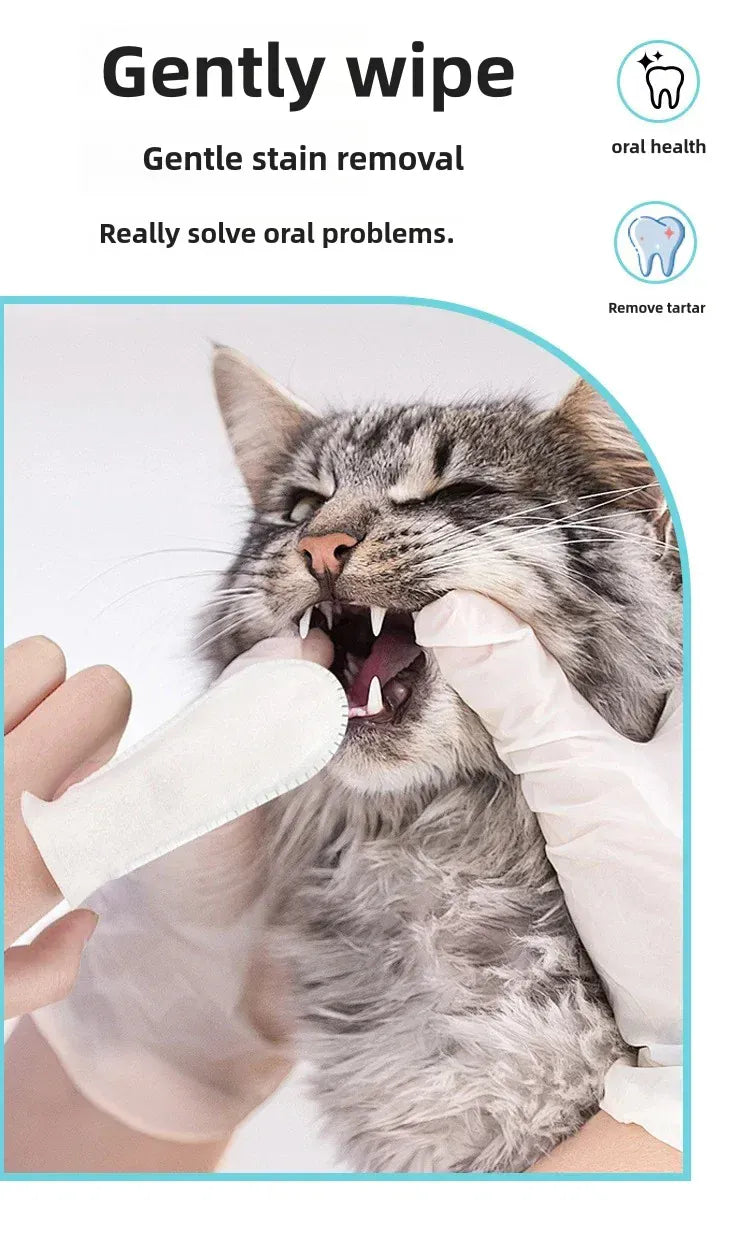 PetPet Teeth Cleaning Finger Wipes – No-Rinse Dental Care for Dogs & Cats | Reduces Plaque & Freshens Breath Teeth Cleaning Dental Finger Wipes for Dogs & Cats, Reduces Plaque & Freshens Breath No-Rinse Dog Teeth Care Finger WipE
