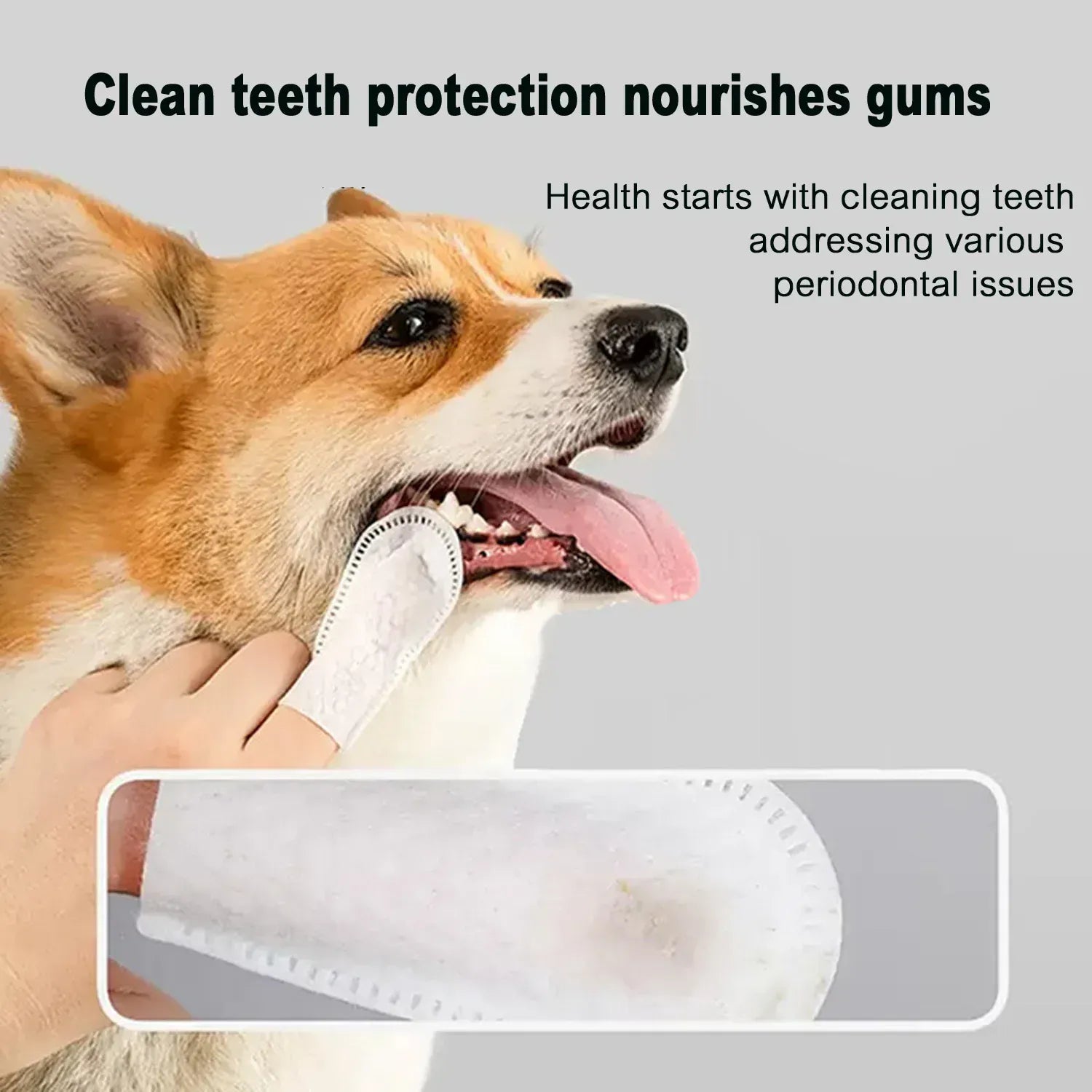 PetPet Teeth Cleaning Finger Wipes – No-Rinse Dental Care for Dogs & Cats | Reduces Plaque & Freshens Breath Teeth Cleaning Dental Finger Wipes for Dogs & Cats, Reduces Plaque & Freshens Breath No-Rinse Dog Teeth Care Finger WipE