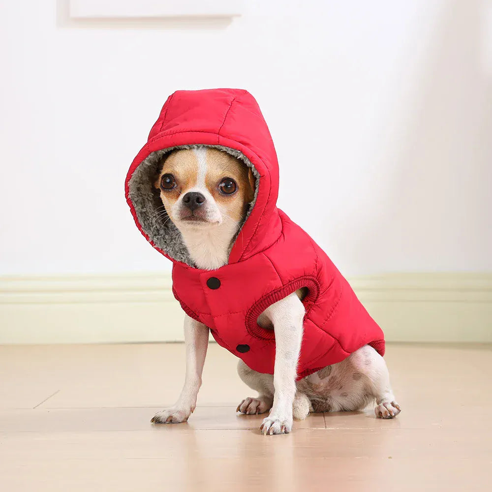 Premium Hooded Cat & Dog Coat - Windproof Fleece Jacket with D-Ring
