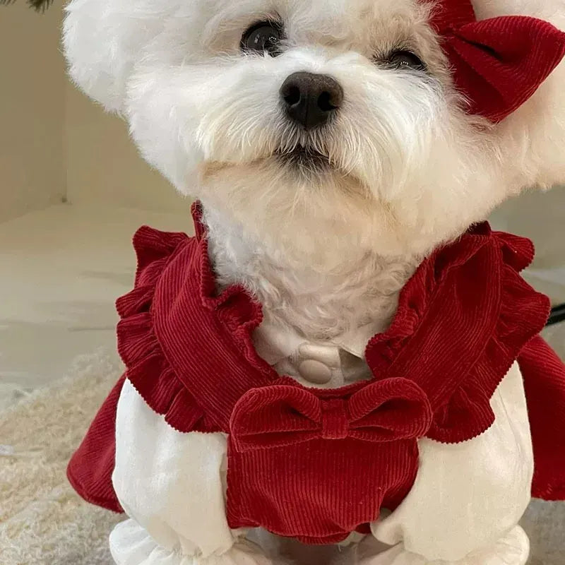 Princess Bow Dress Set - Winter Corduroy Dog Dress with Bow Clip