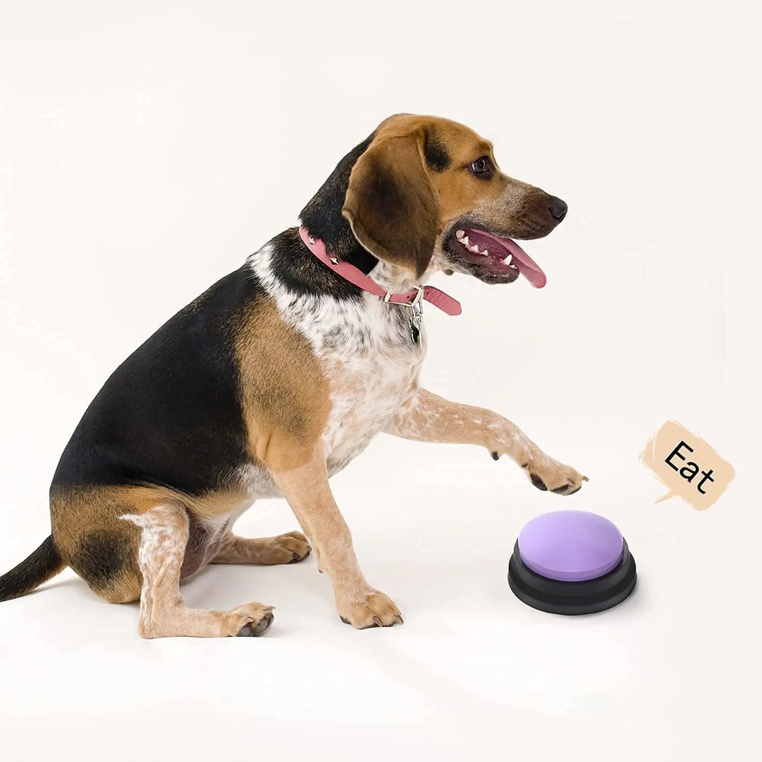 Recordable Talking Buttons for Dogs & Cats - 30s Voice Training Communication Kit