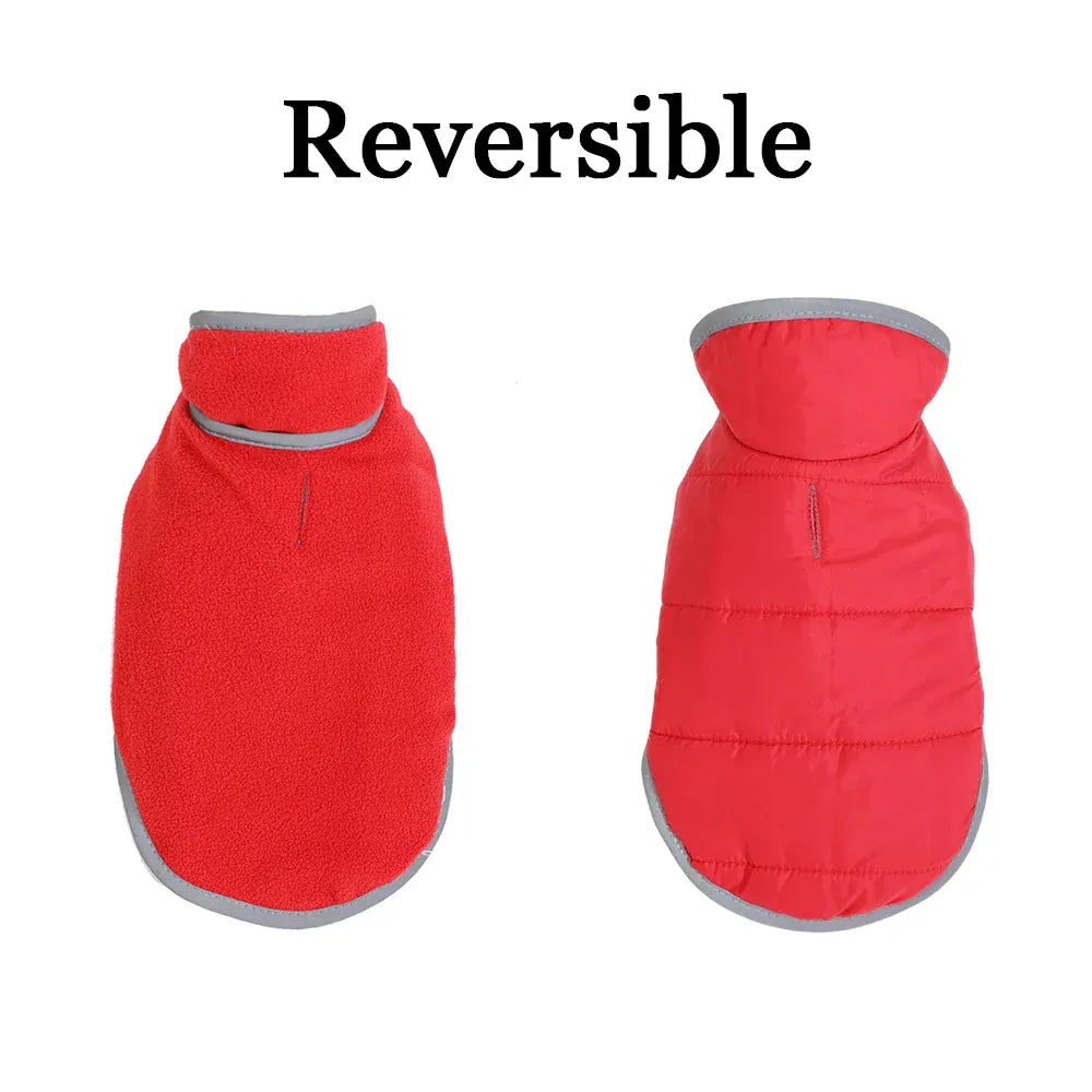 Reflective Pet Clothes | Reversible Kitten Jacket & Winter Fleece Coat | Warm Cat Costume for Small Cats & Sphynx