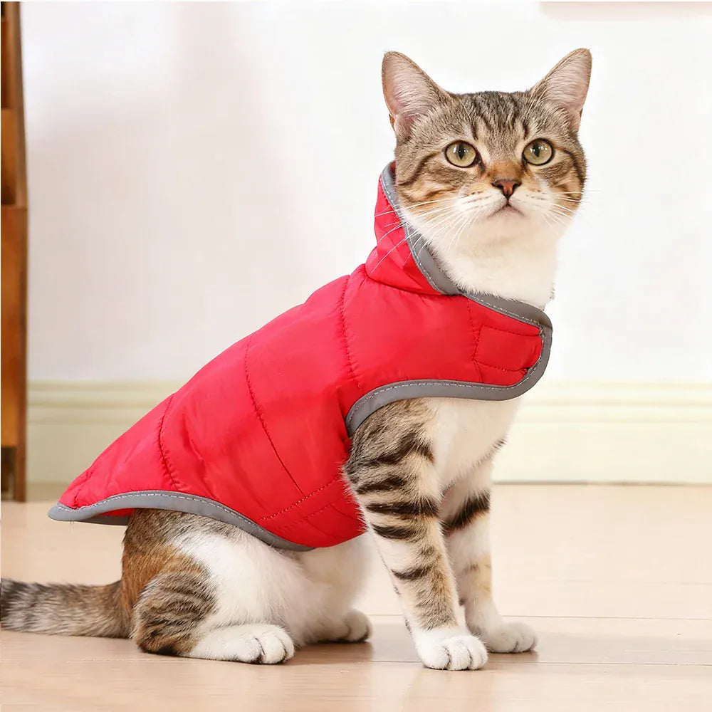 Reflective Pet Clothes | Reversible Kitten Jacket & Winter Fleece Coat | Warm Cat Costume for Small Cats & Sphynx